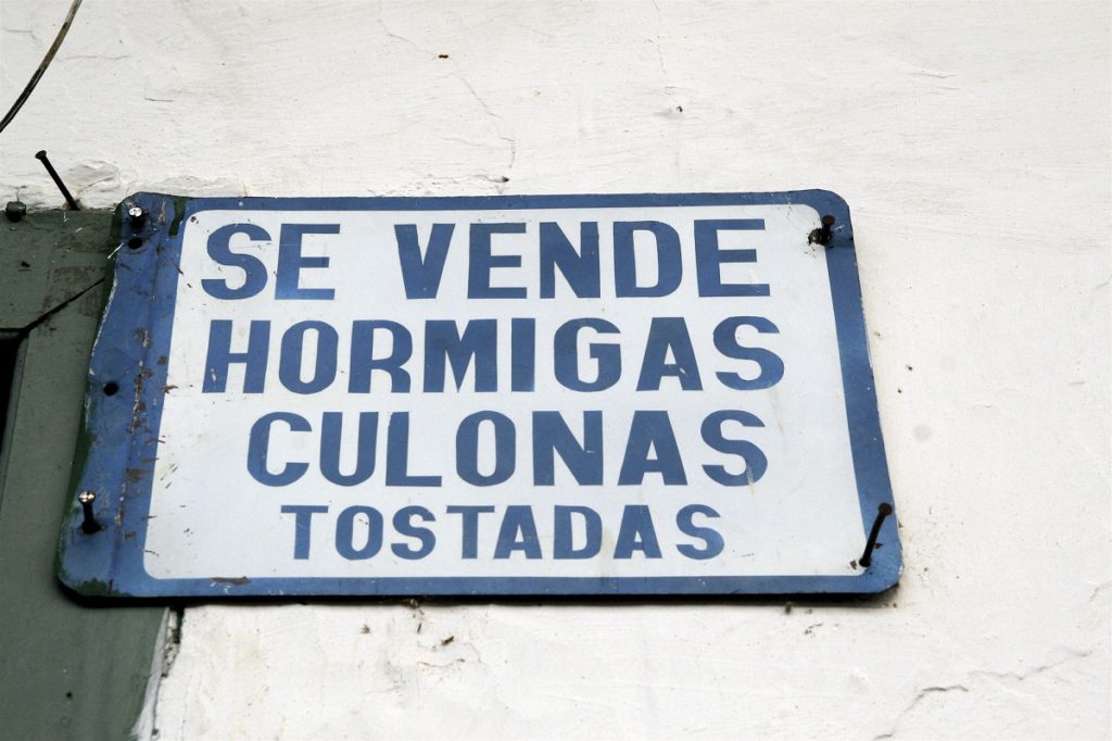 Spanisches Werbeschild für gegrillte Ameisen in Kolumbien
