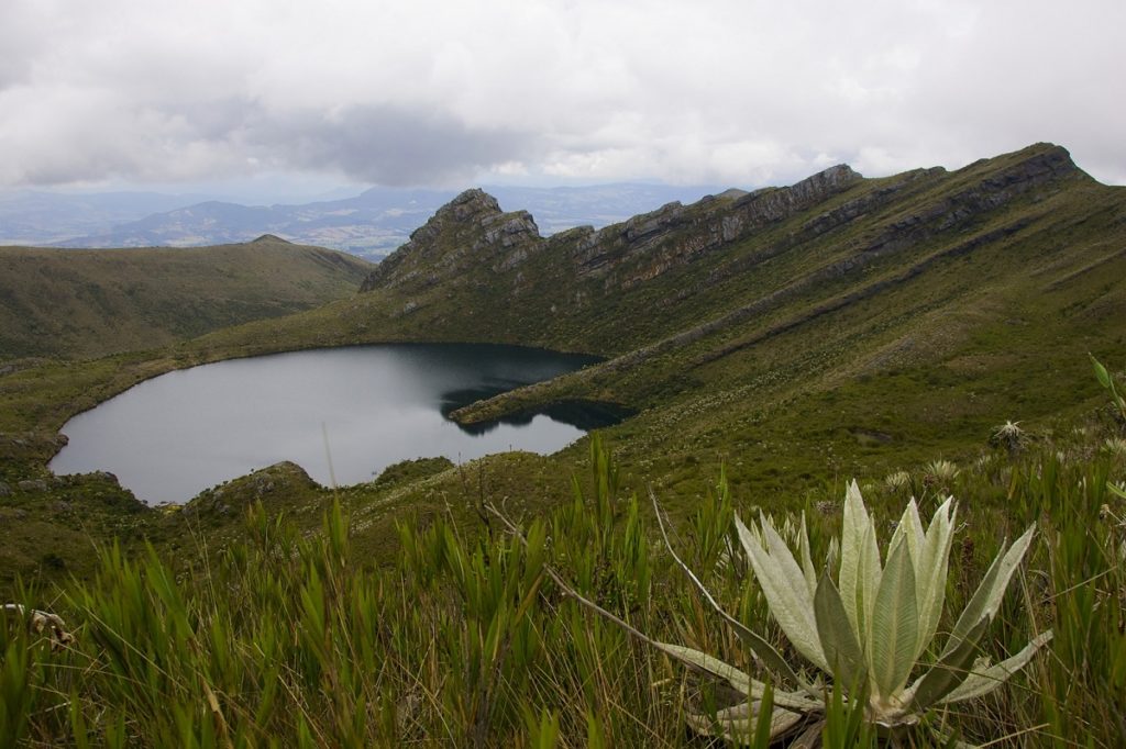 Chingaza Nationalpark östlich von Bogota, Kolumbien