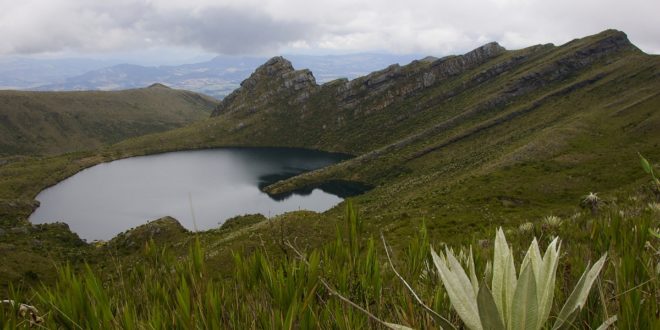 Chingaza Nationalpark östlich von Bogota, Kolumbien